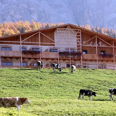 Luech Da Pcei Otel San Cassiano (Badia)